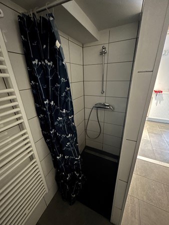 Marshallsingel 23013.JPG